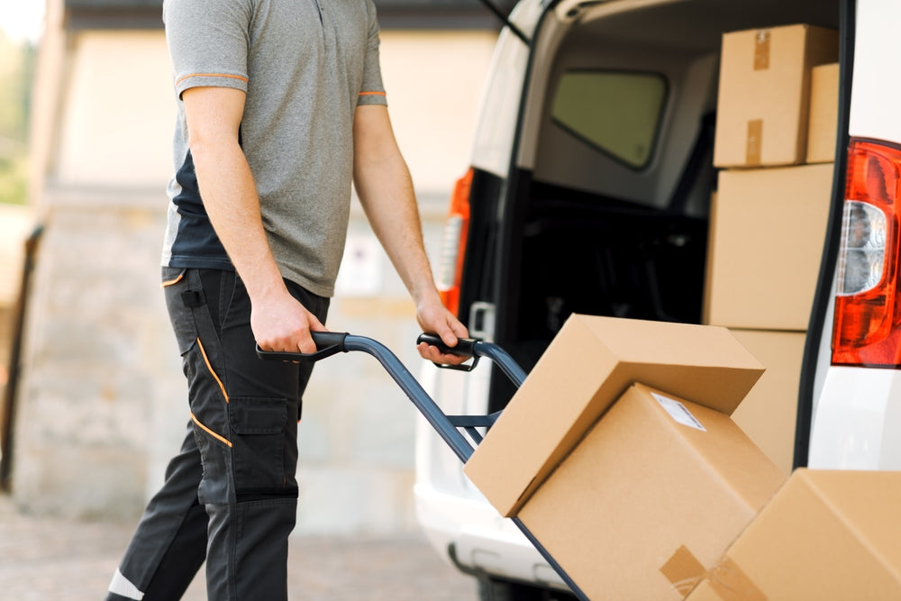 shutterstock_2496886759_1.jpg
